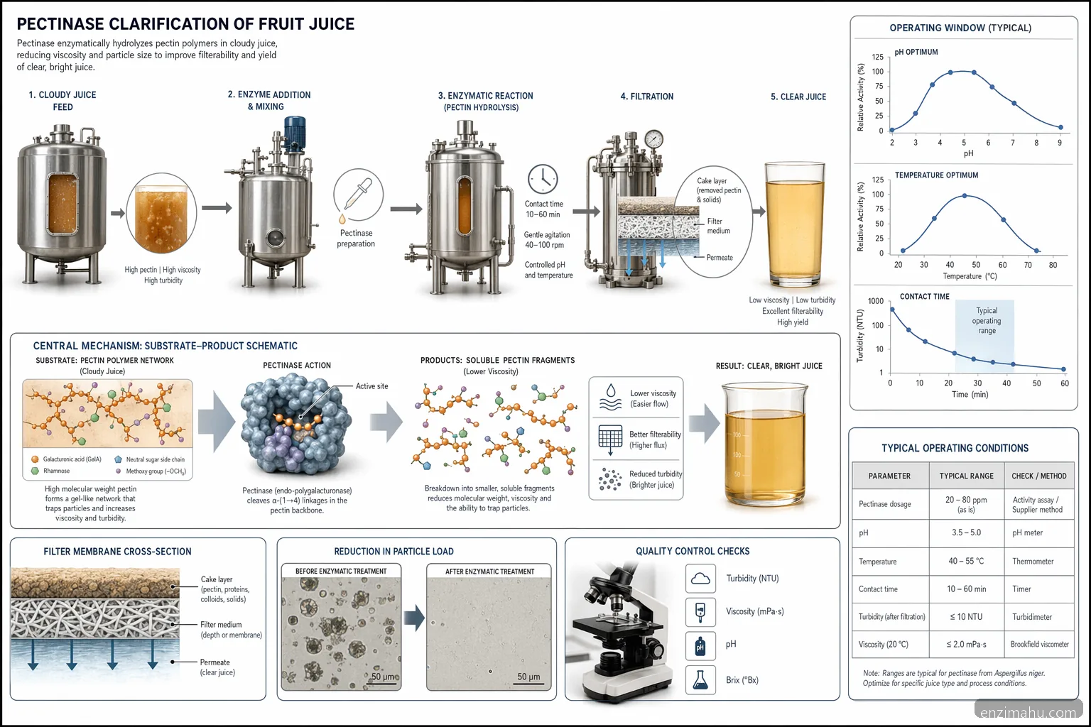 enzim pectinase mechanism in fruit juice clarification, with pH-temperature window and filtration outcomes