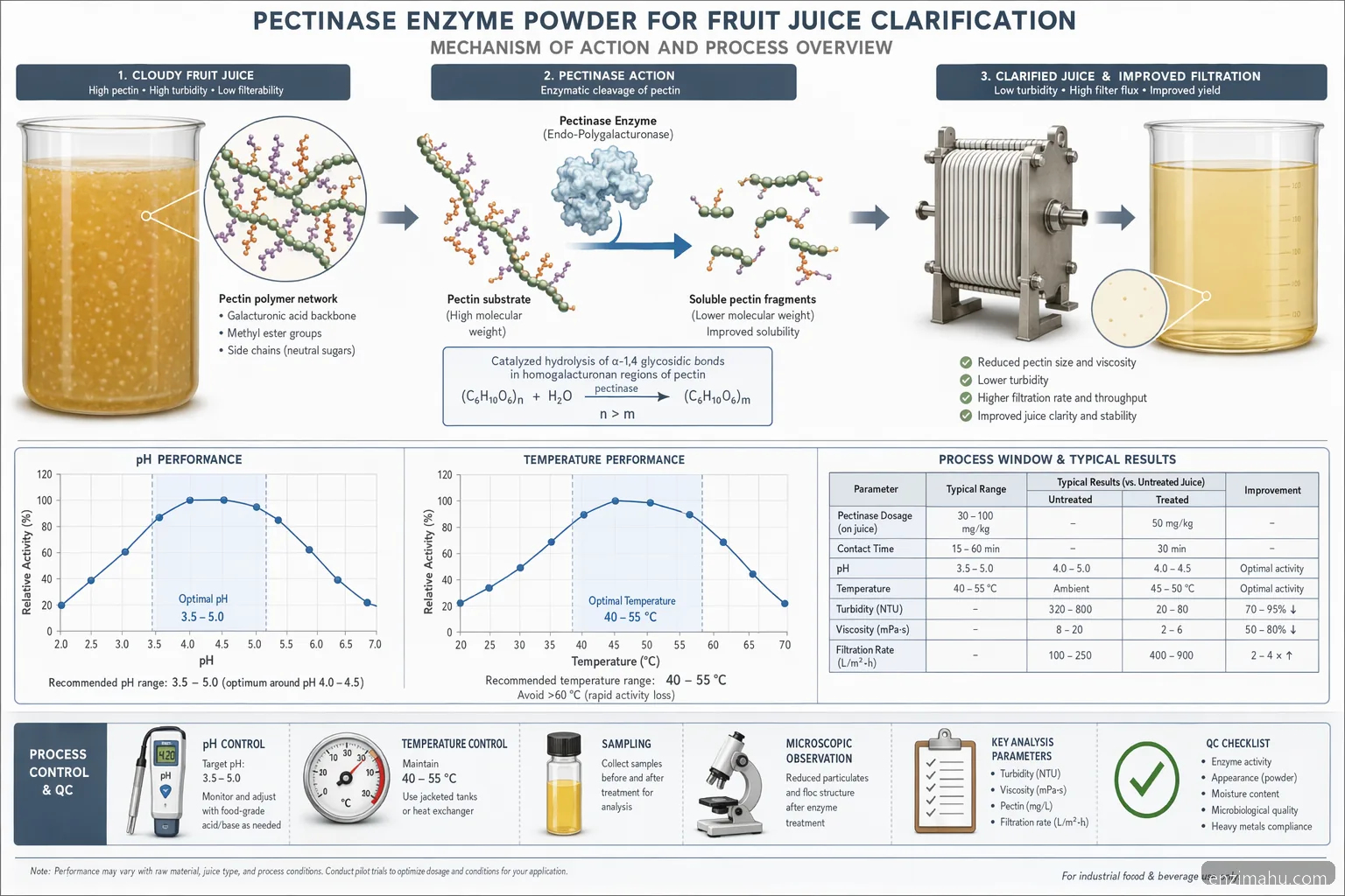 enzim pudra pectinase process window: pH and temperature curves with substrate-to-product clarification flow