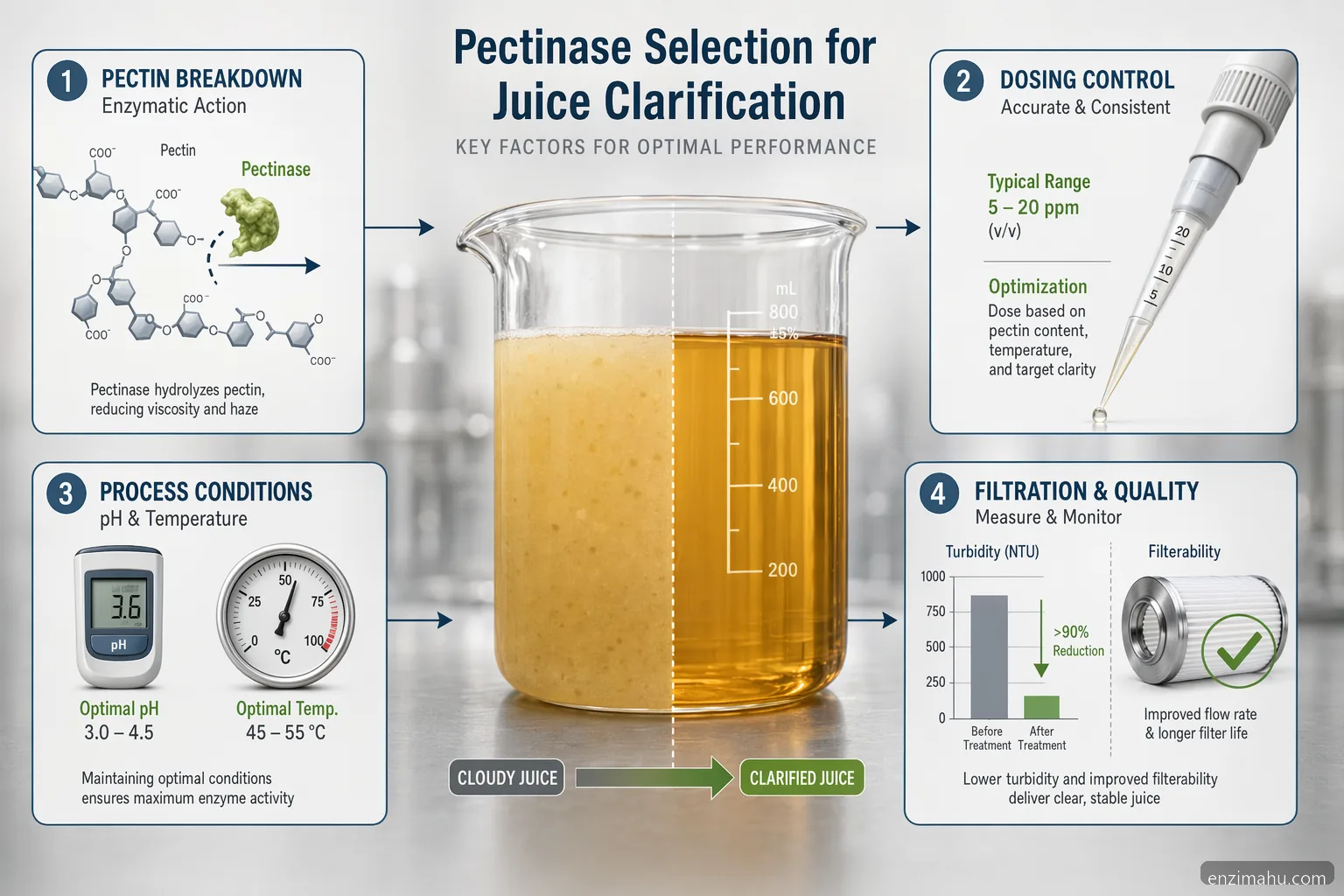 enzim supplier for juice clarification pectinase dosing, pH and temperature guide for clearer industrial juice